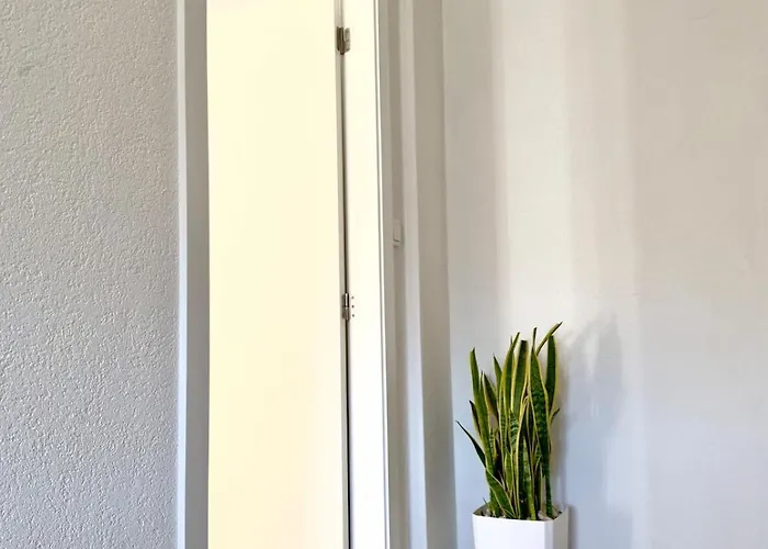 Casa Branca De Oura - Amazing Valley View