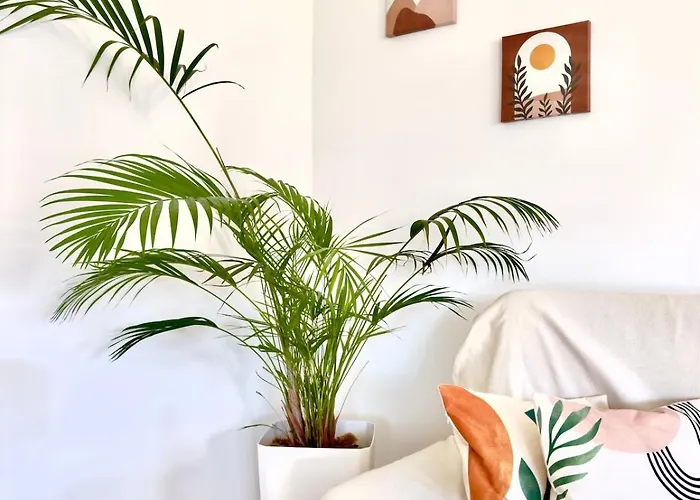 Casa Branca De Oura - Amazing Valley View *